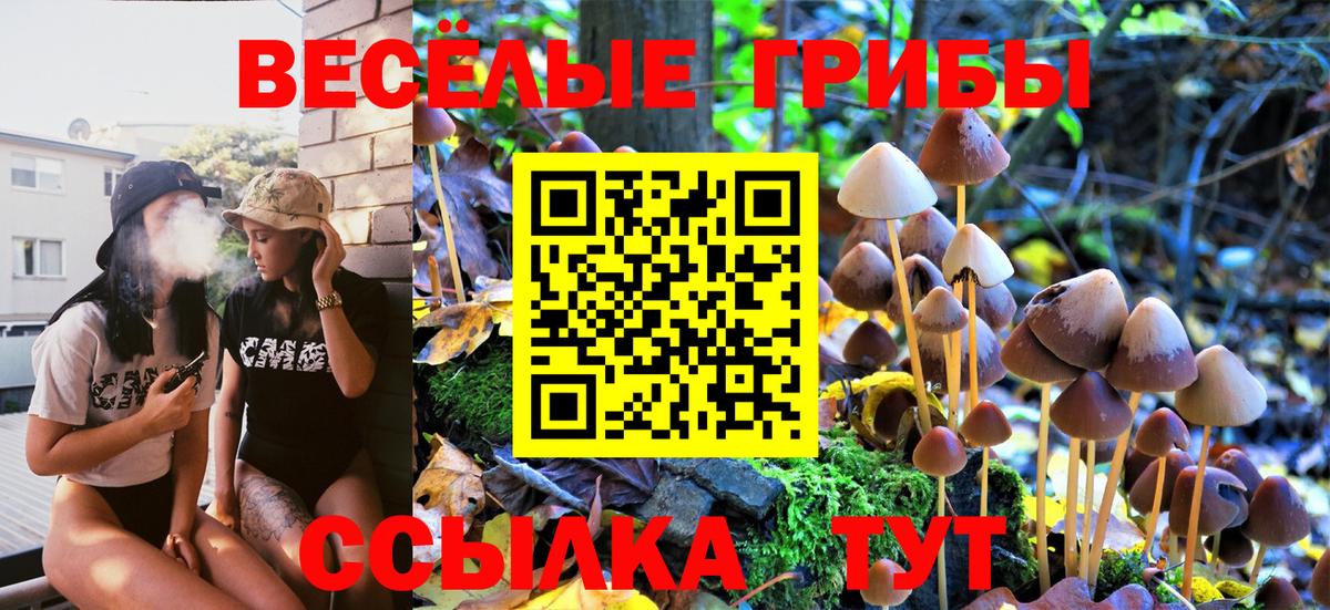 Псилоцибиновые грибы ЛСД  Вход с VPN  Мариинск 